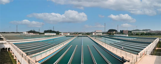 管网：责任担当！瀚蓝连续十年蝉联“中国水业最具社会责任企业”