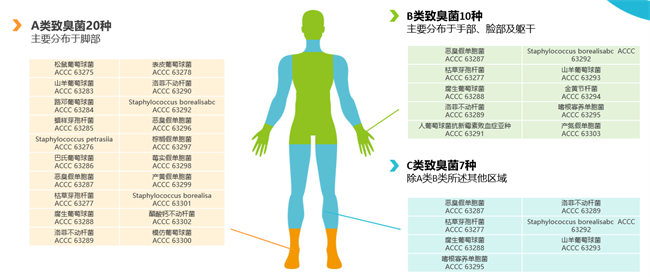 禾素时代推出禾素Pro™纤维，专业抗致臭菌，树立纺织抗菌抑臭标杆