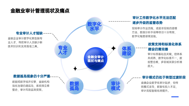 基于知识的智能审计系统：助力科技强审 护航高质量转型